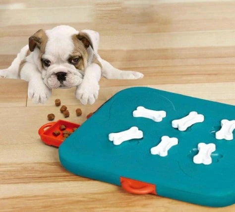 Blue casino treasure hunt puzzle food spill toy for pets, durable plastic design