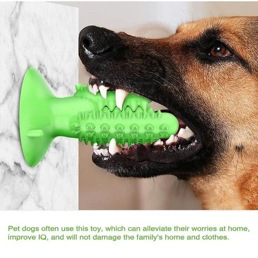 Chewing Toothbrush Toy for Dogs - Premium Dental Care Accessory in Yellow