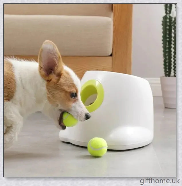 Automatic Dog Toy Ball Launcher with Adjustable Range and Included Tennis Balls for Interactive Play