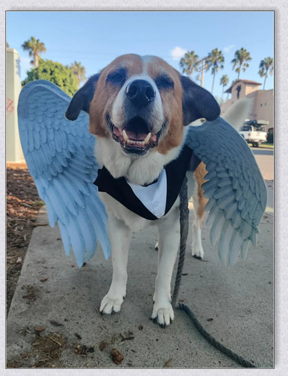 Spooktacular 3D Angel Devil Wings in black and white, perfect for Halloween costumes and celebrations