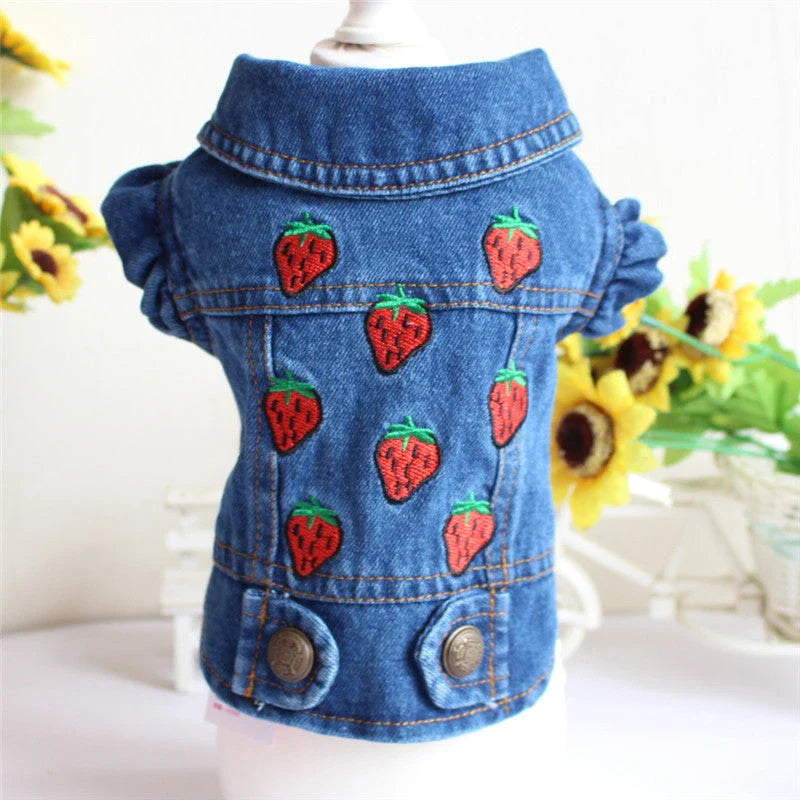 A stylish denim dog jacket with various design options for small breed canines