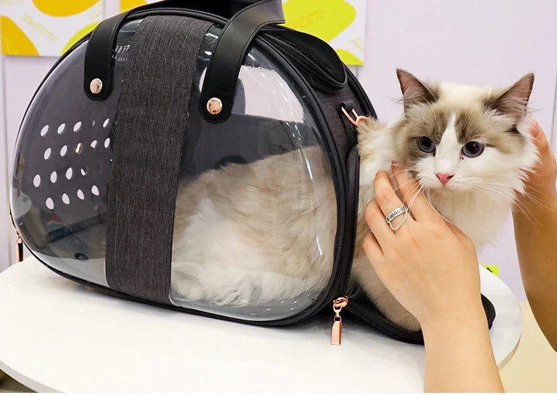 Transparent PVC pet backpack with ventilation holes and secure lock