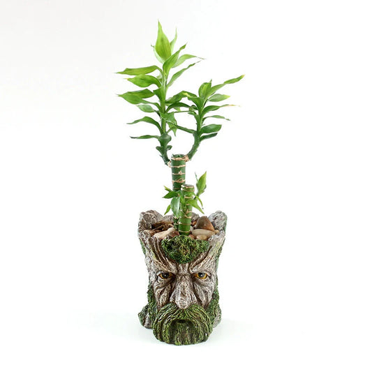 Strongwell Tree Head Old Man Figurine Planter Pot in green, perfect for home or office decoration