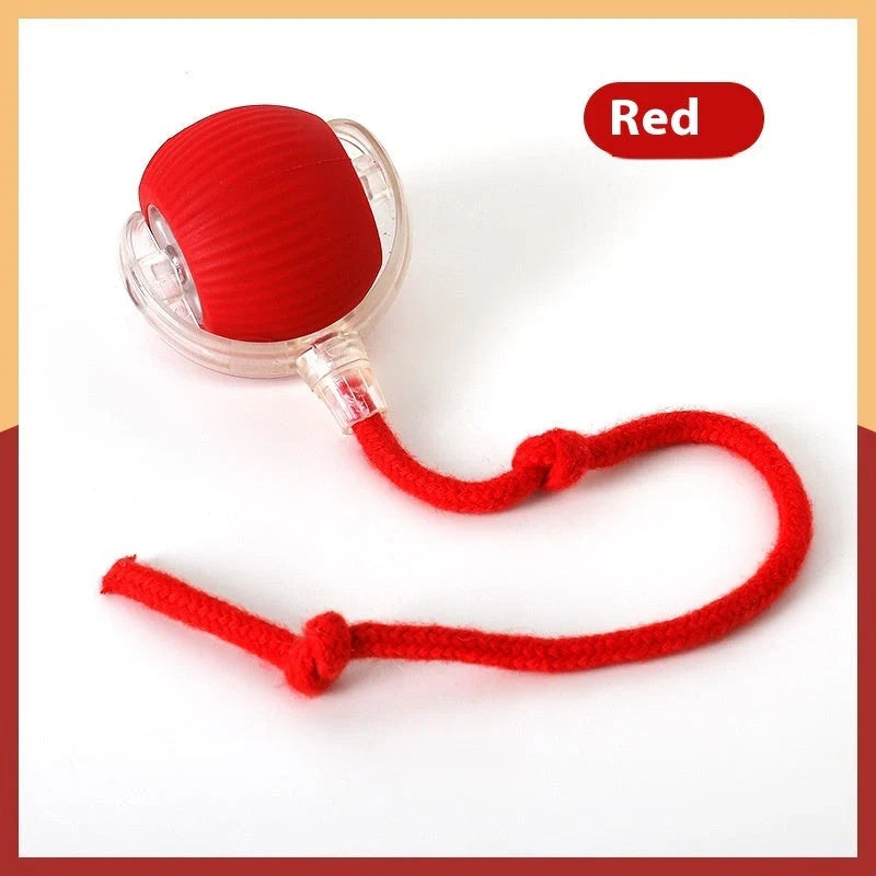Interactive cat toy ball with premium drive mechanism, auto shut-off, and wake-up features for engaging feline playtime