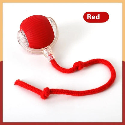 Interactive cat toy ball with premium drive mechanism, auto shut-off, and wake-up features for engaging feline playtime