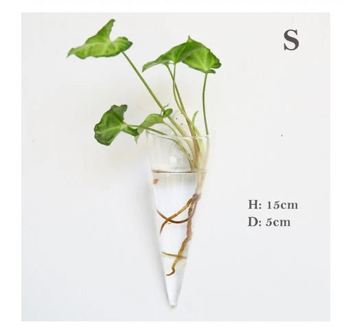 Elegant glass wall hanging flower vase planter terrarium with various shapes and sizes