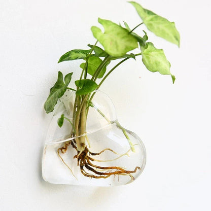 Elegant glass wall hanging flower vase planter terrarium with various shapes and sizes