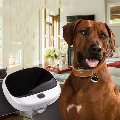 Mini Cat Anti-Loss Tracker attached to a pet collar with LED light visible