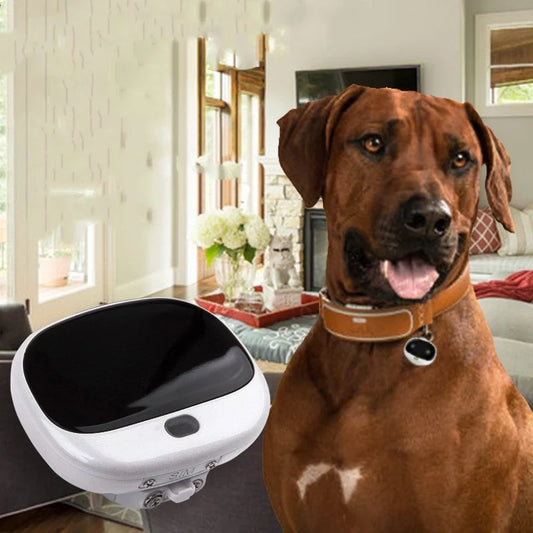 Mini Cat Anti-Loss Tracker attached to a pet collar with LED light visible