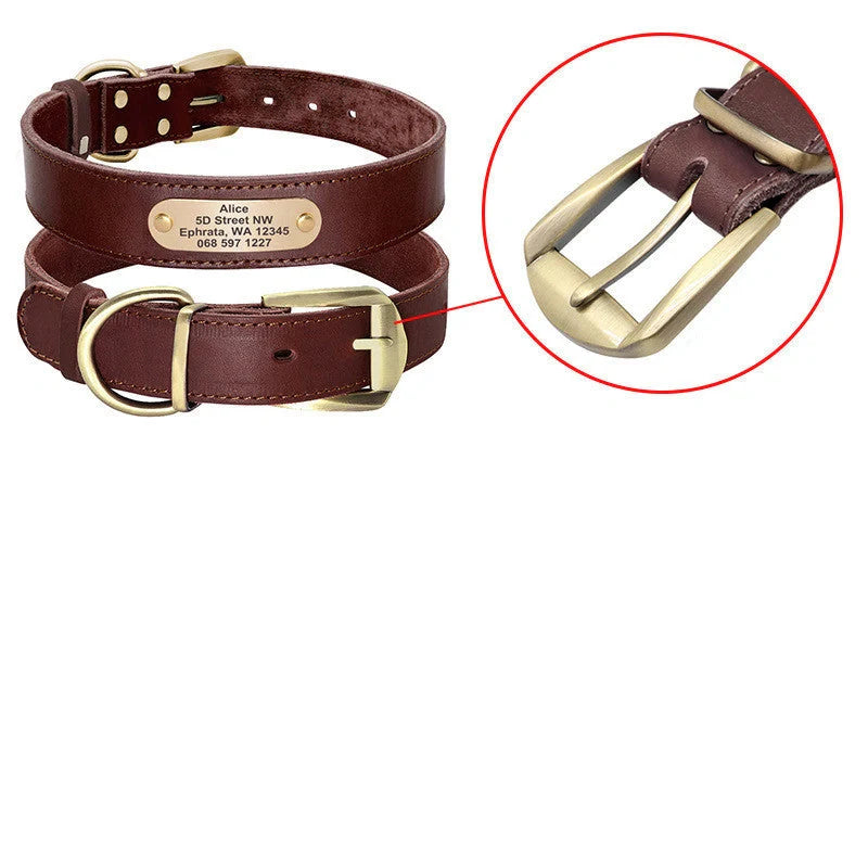 Personalized leather dog collar with golden nameplate ID tag for medium to large dogs