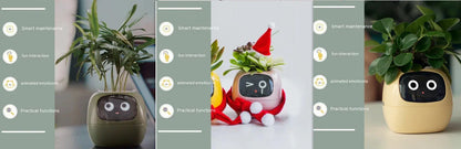 Smart Planter with AI and 7 sensors for easy plant care in various colours