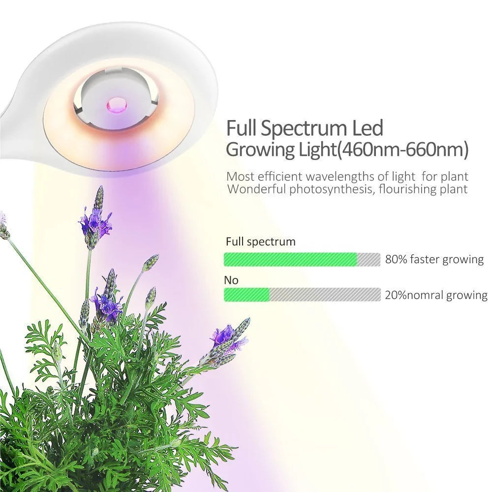 A transparent, intelligent grow box with a built-in table lamp for nurturing indoor plants