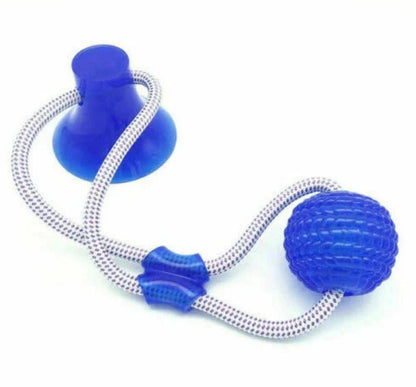 Durable, colourful chew toy with unique sucker design for dogs to play and maintain dental health