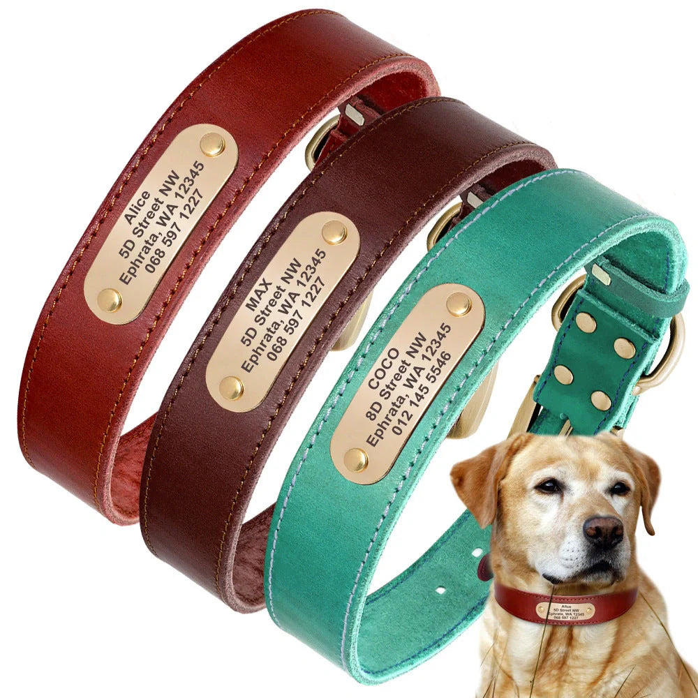 Personalized leather dog collar with golden nameplate ID tag for medium to large dogs