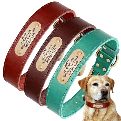 Personalized leather dog collar with golden nameplate ID tag for medium to large dogs