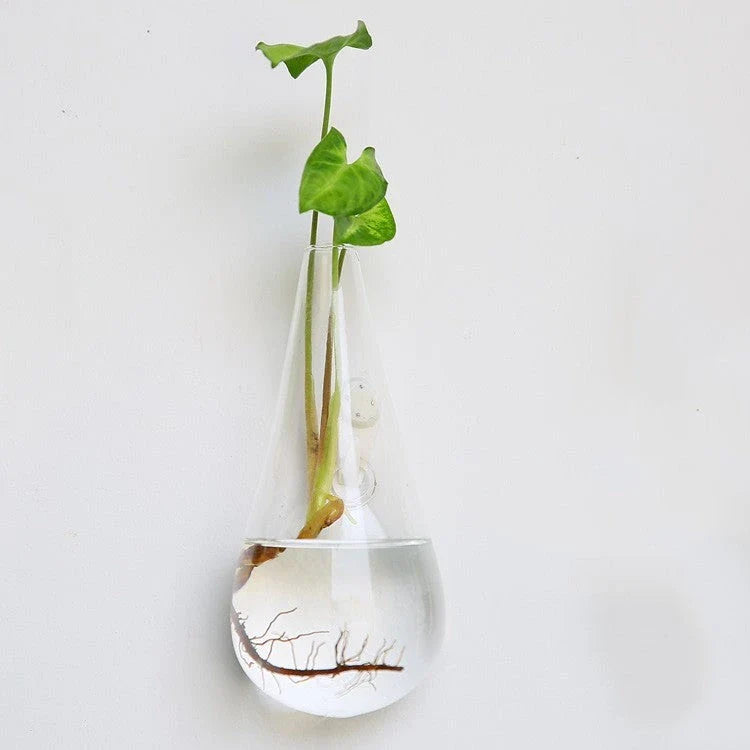 Elegant glass wall hanging flower vase planter terrarium with various shapes and sizes