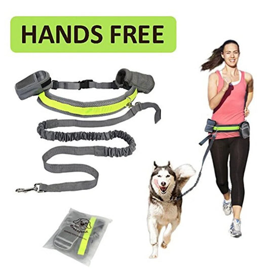Adjustable hands-free dog leash with waist bag in various colours