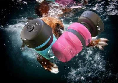 Foldable dog water bottle with integrated collapsible bowl for convenient hydration on the go