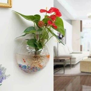 Stylish acrylic wall-mounted fish bowl for modern homes