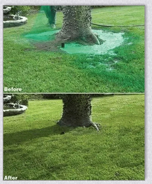 Hydro Mousse Liquid Lawn System - Spray-on formula that attaches grass seed directly to soil for effortless lawn repair