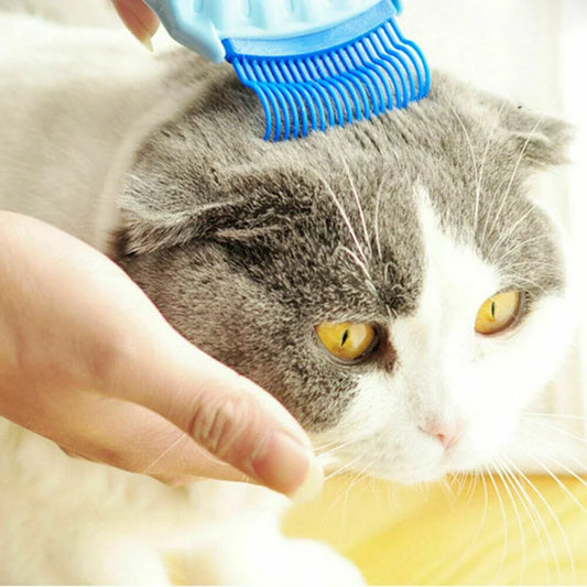 Pet Massage Shell Brush with soft bristles and ergonomic design for gentle, effective grooming