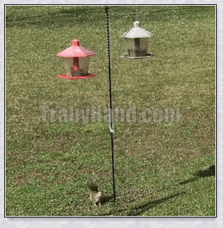 Squirrels Trouble - Squirrel-proof bird feeder accessory with spring-loaded mechanism to deter squirrels