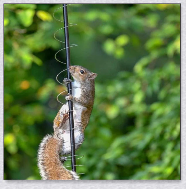 Squirrels Trouble - Squirrel-proof bird feeder accessory with spring-loaded mechanism to deter squirrels