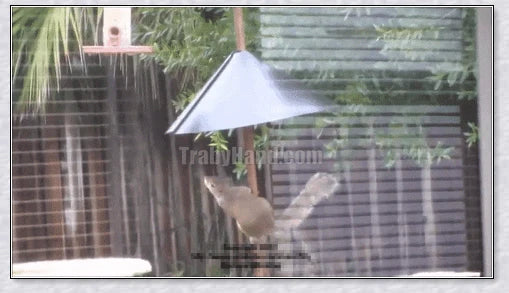Squirrels Trouble - Squirrel-proof bird feeder accessory with spring-loaded mechanism to deter squirrels