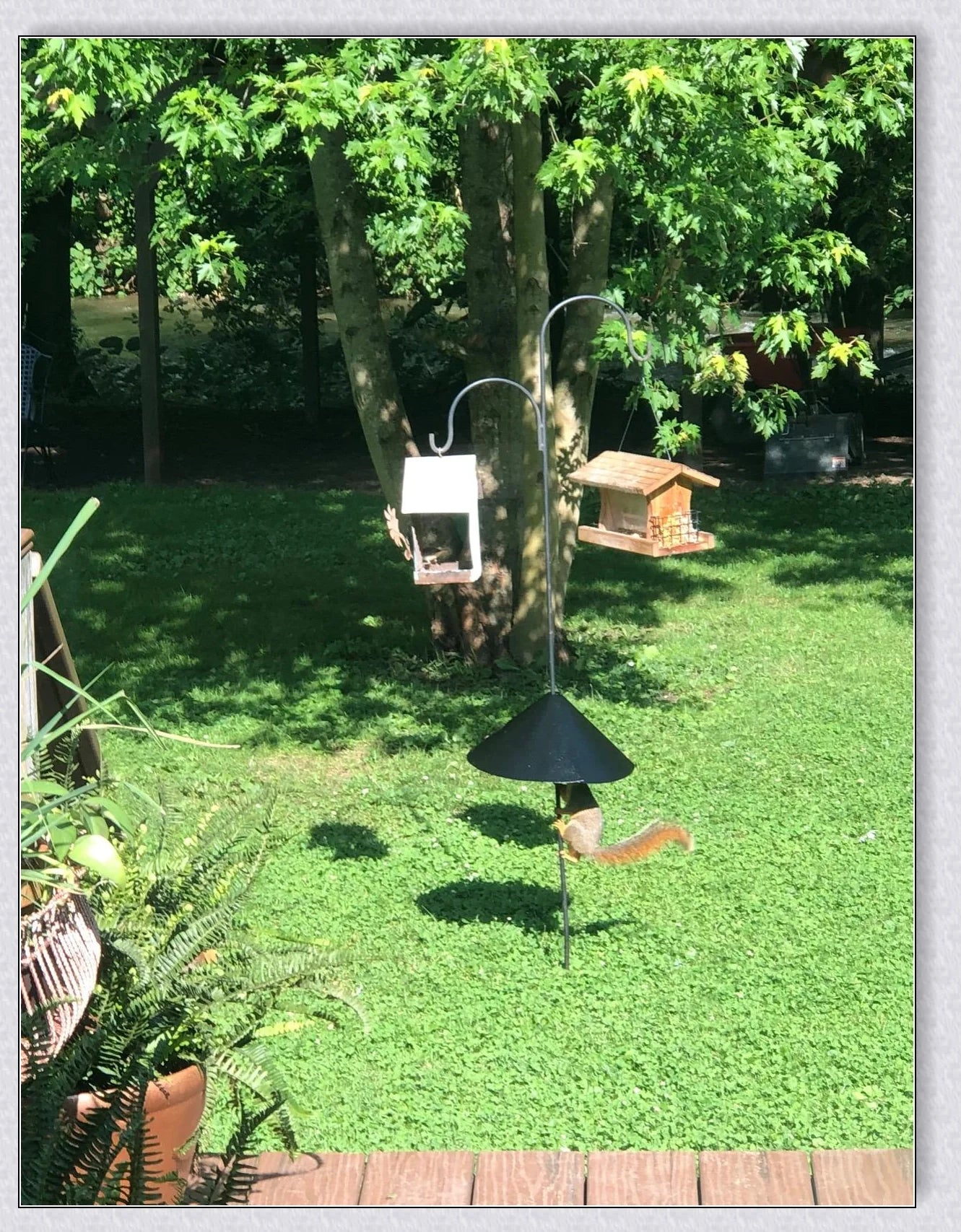 Squirrels Trouble - Squirrel-proof bird feeder accessory with spring-loaded mechanism to deter squirrels