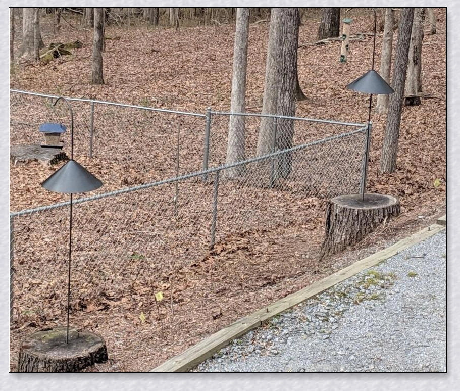 Squirrels Trouble - Squirrel-proof bird feeder accessory with spring-loaded mechanism to deter squirrels