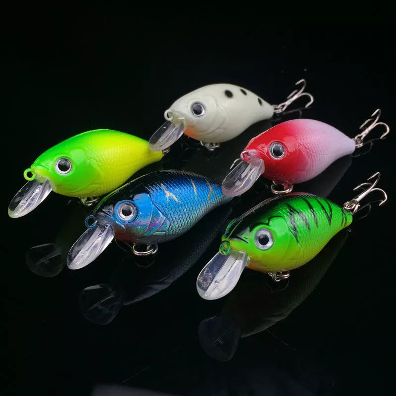 WALK FISH 5Pcs Fishing Lure Set with five vibrant minnow baits for effective fishing
