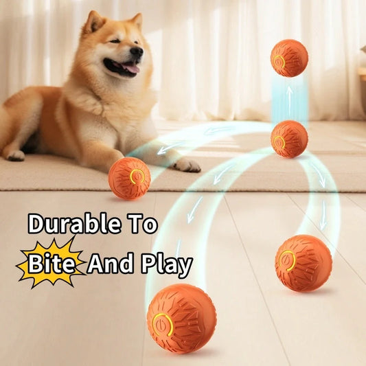 Vibrant pet jumping ball with premium, durable materials and luminous glow to captivate your furry friend's attention and encourage interactive play