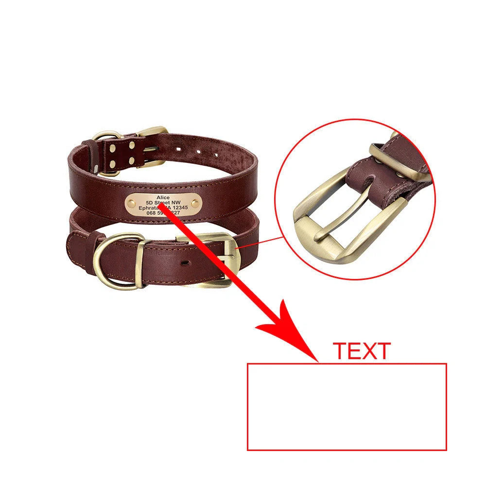 Personalized leather dog collar with golden nameplate ID tag for medium to large dogs