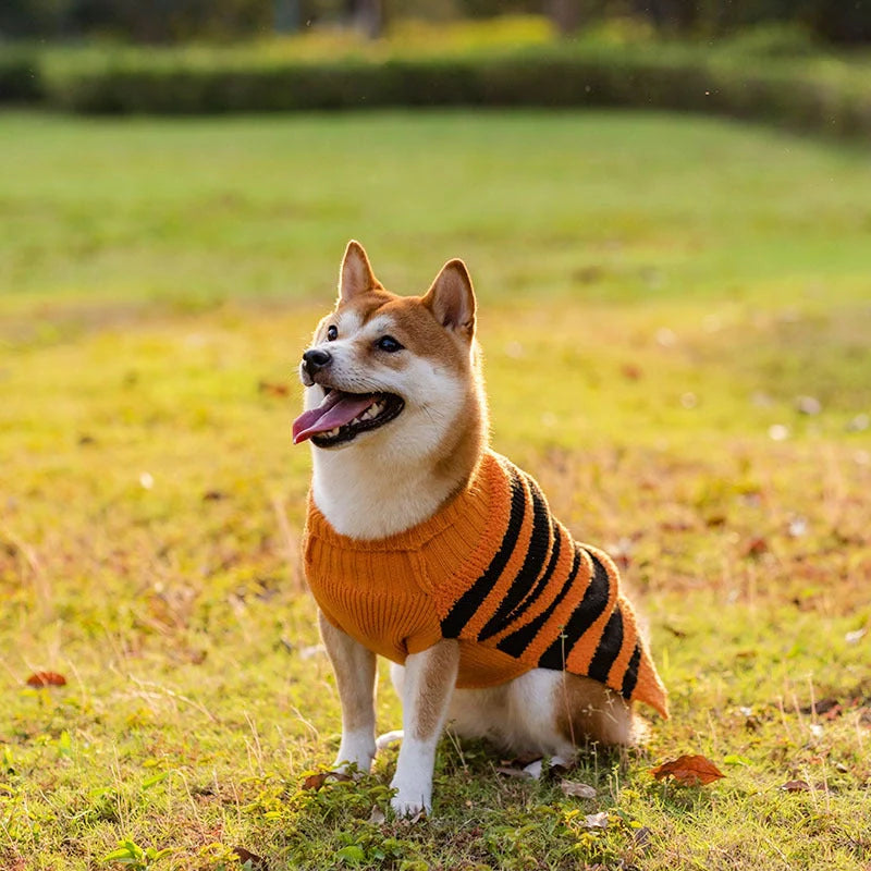 Halloween dog sweater in acrylic material for small pets, available in festive designs