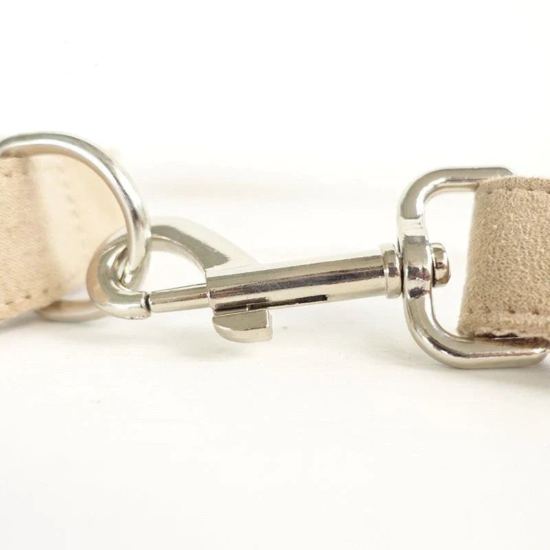 Durable dog collar and traction rope set in nude colour, perfect for safe and stylish walks.