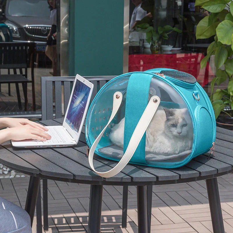 Transparent PVC pet backpack with ventilation holes and secure lock