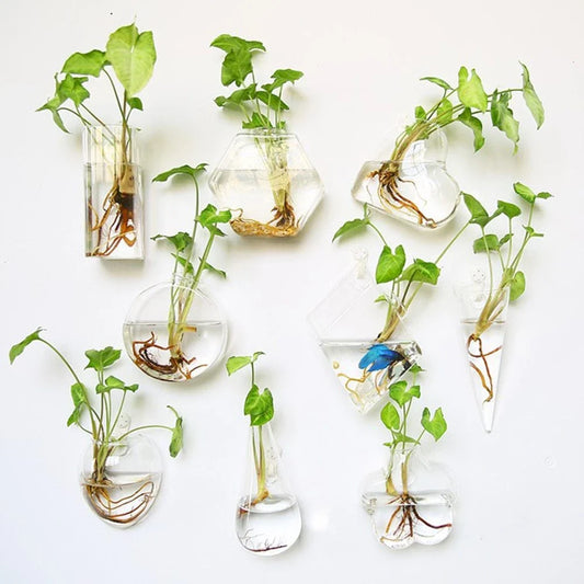 Elegant glass wall hanging flower vase planter terrarium with various shapes and sizes