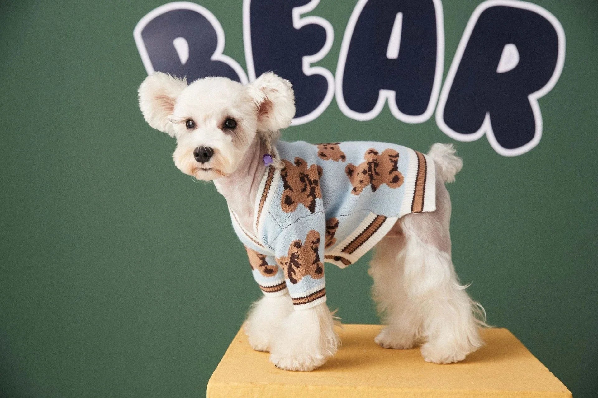 Stylish striped pet sweater in various colours and sizes for dogs and cats