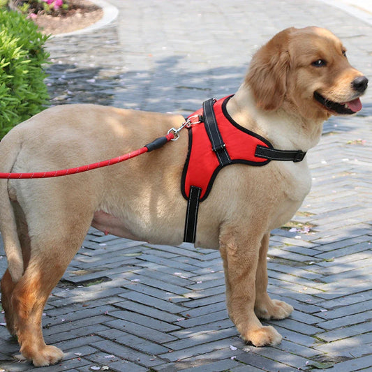 Premium padded dog harness with reflective trim, suitable for medium to large dogs