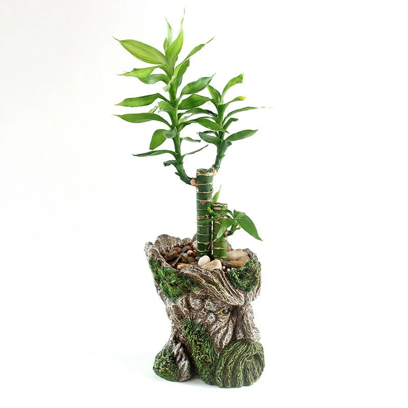 Strongwell Tree Head Old Man Figurine Planter Pot in green, perfect for home or office decoration