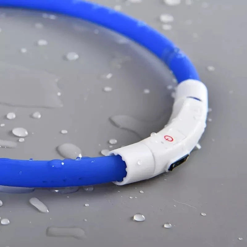 Blue LED pet light collar for dogs with adjustable modes and USB charging