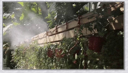 Premium outdoor misting system to cool your garden or patio during hot British summers