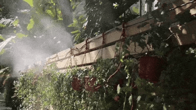 Premium outdoor misting system to cool your garden or patio during hot British summers