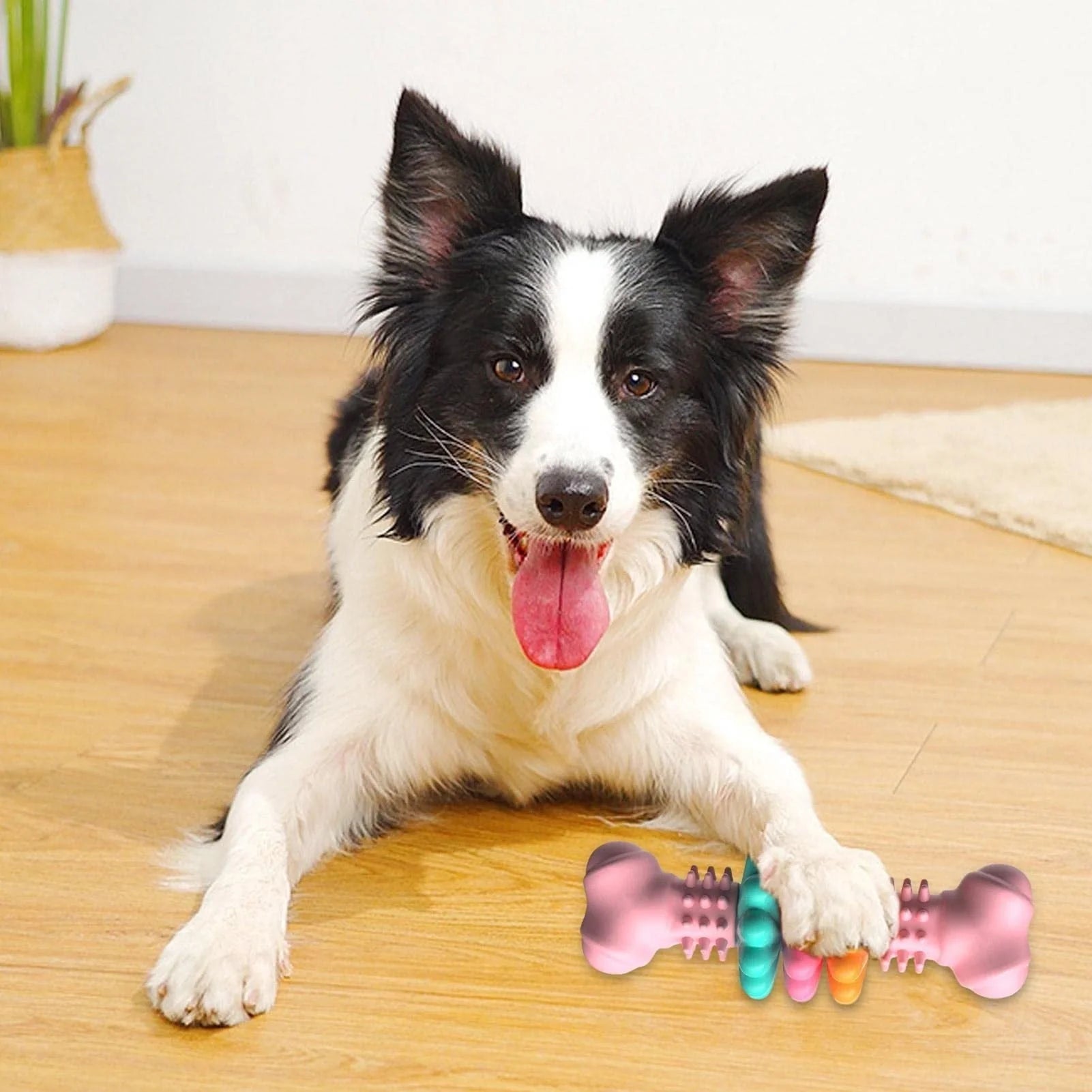 TPR dog chew toy bone shape in blue, pink, and green for teeth cleaning and stress relief