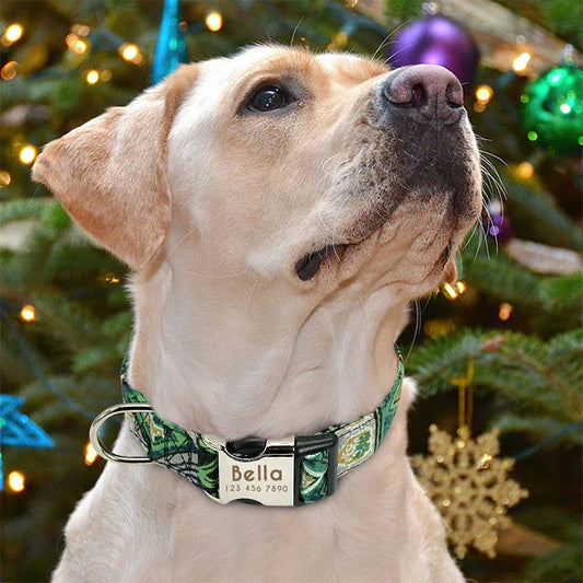 Reflective dog collar in various colours and sizes, designed for UK pets with adjustable, durable, and breathable features