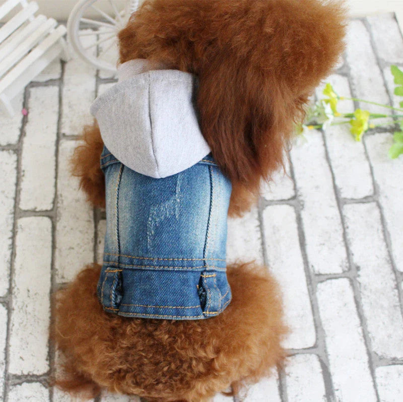 A stylish denim dog jacket with various design options for small breed canines