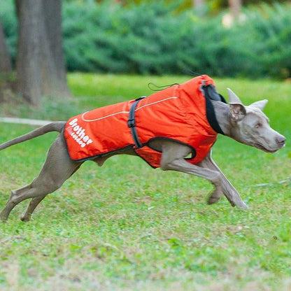 Waterproof reflective nylon pet coat in blue, purple, and orange for dogs