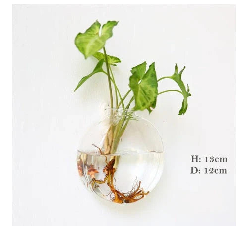 Elegant glass wall hanging flower vase planter terrarium with various shapes and sizes