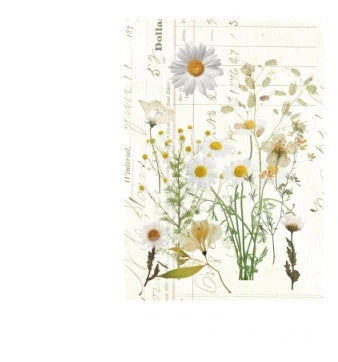 Herbarium DIY Plant Stickers pack with 8 unique botanical designs for creative decoration