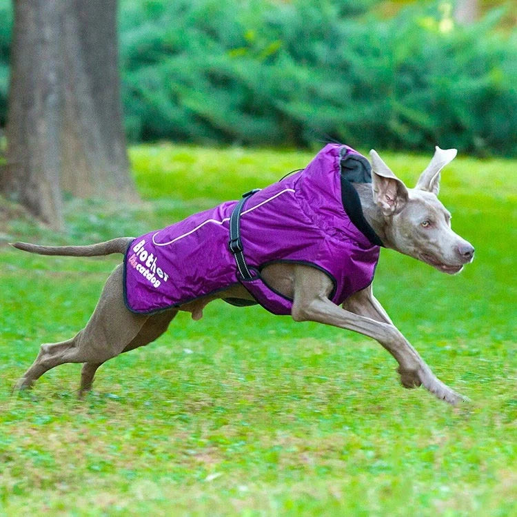 Waterproof reflective nylon pet coat in blue, purple, and orange for dogs